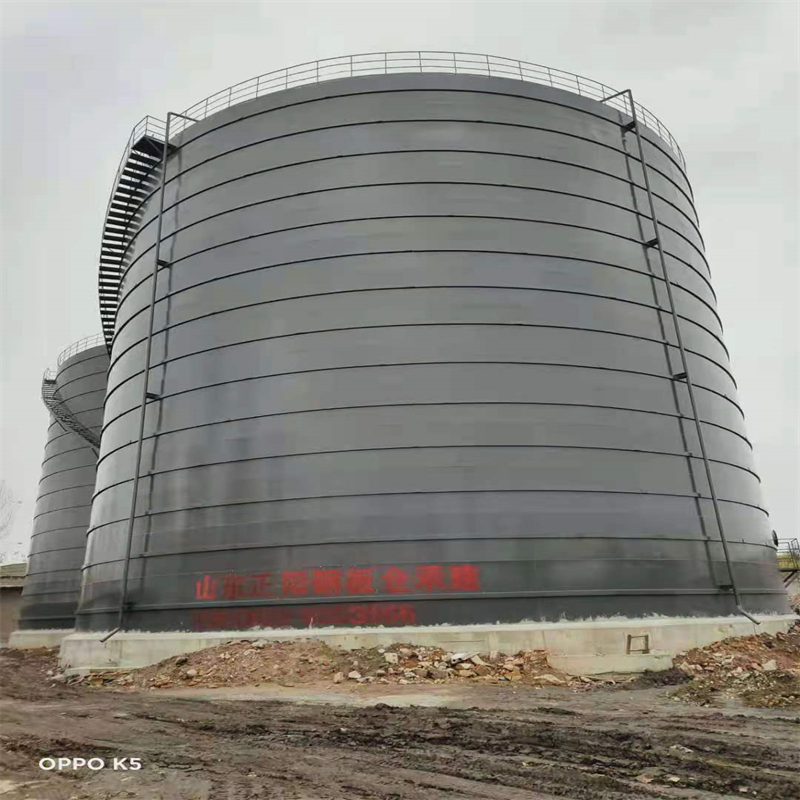 三沙3万吨大型钢板库